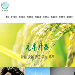 北京元丰开泰科技有限公司