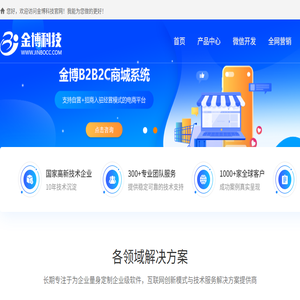 软件开发