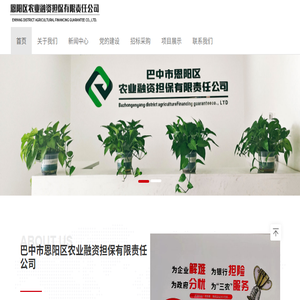 巴中市恩阳区农业融资担保有限责任公司