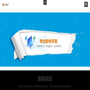 上海软件开发