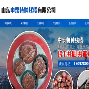 山东中泰特种线缆有限公司