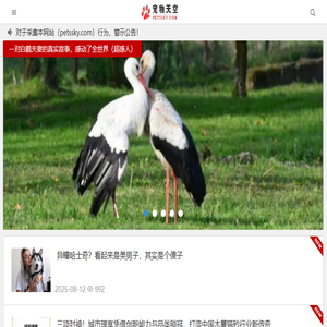 宠物天空网
