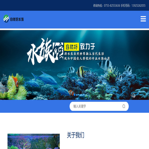 深圳鱼缸定制
