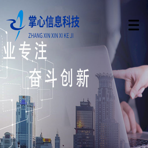 掌心信息科技