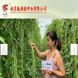 南京盛唐蔬种业有限公司