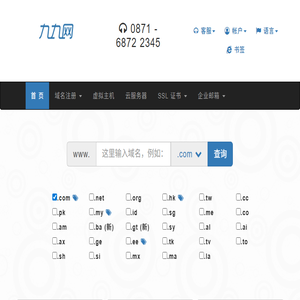 在九九网