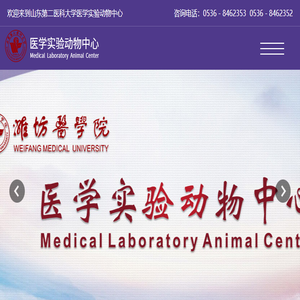 动物中心