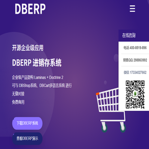 DBErp进销存系统