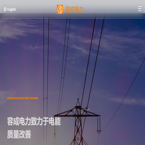 江苏容成电力发展有限公司