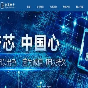 深圳市比高电子有限公司