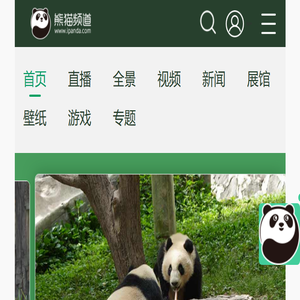 熊猫频道
