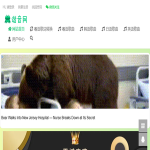 歌曲谐音网