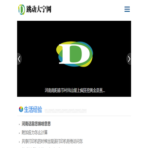 跳动大宁网
