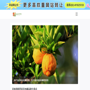 农产品价格行情信息