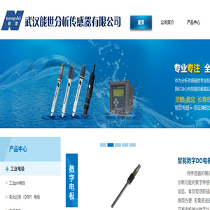 武汉能世分析传感器有限公司