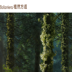植然方适