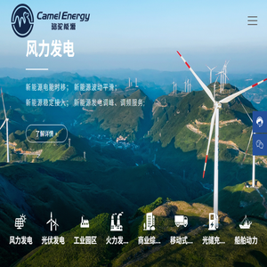 骆驼能源科技有限公司