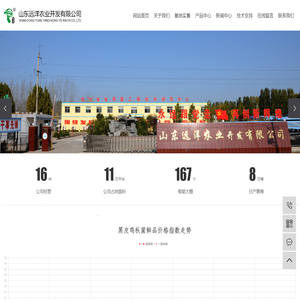 黑皮鸡枞菌