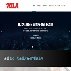 山东荼兰（TOLA）信息技术有限公司