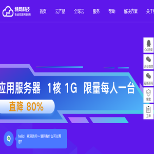 领先的云服务器