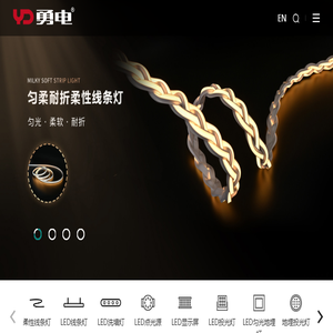 杭州勇电照明有限公司