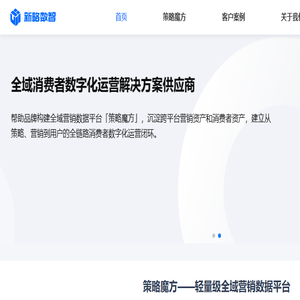 新略数智