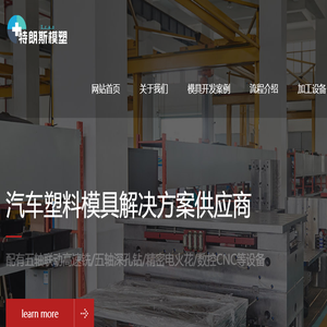 浙江特朗斯模塑有限公司