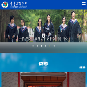 专利之星检索系统