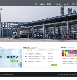 青岛碱业发展有限公司