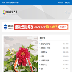 抖音seo