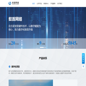 蚁首网络