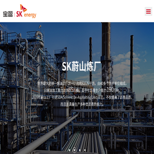 浙江宝盈爱思开物资集团有限公司