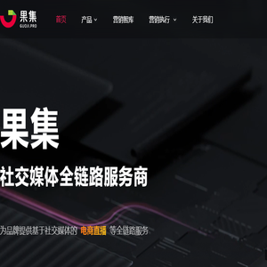 果集