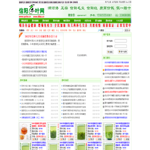 信阳毛尖