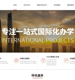 远播一站式国际化办学,中外合作办学,海外留学规划,国际研学
