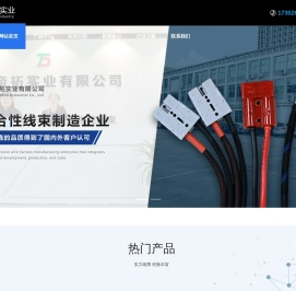 深圳帝拓实业有限公司