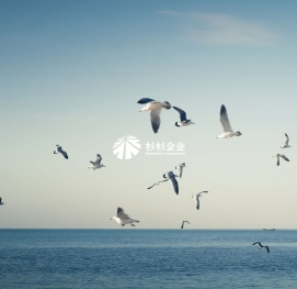 杉杉企业
