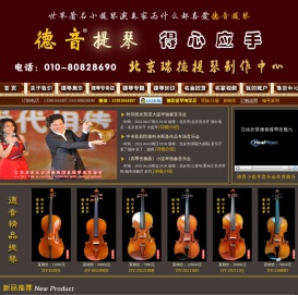北京瑞德德音提琴技术服务有限公司