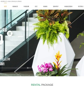 上海花卉租赁