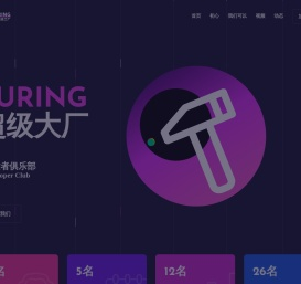 Turing超级大厂