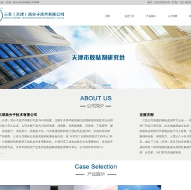三友（天津）高分子技术有限公司