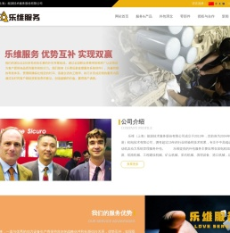 乐维（上海）能源技术服务股份有限公司