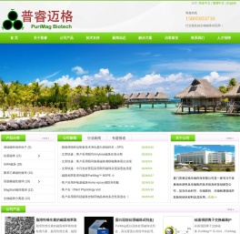 生物磁珠专家