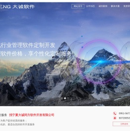 宁夏大诚同方软件开发有限公司