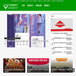 飞升电商学习网