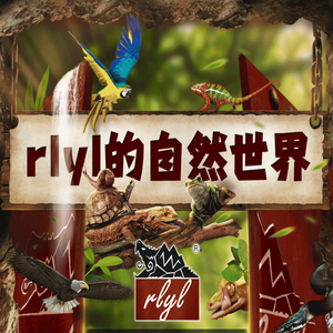ryl的自然世界