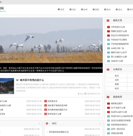 剥极必复网