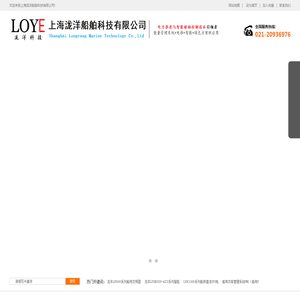 上海泷洋科技
