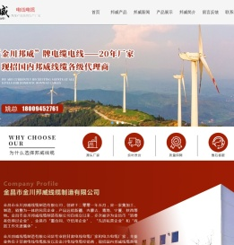 金昌电线电缆,甘肃电线电缆厂家,控制电缆,BV电线,金昌控制电缆,兰州预分支电缆,兰州特种线缆,甘肃电线电缆,兰州电力电缆,甘肃电缆厂家