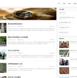 群轻折轴网